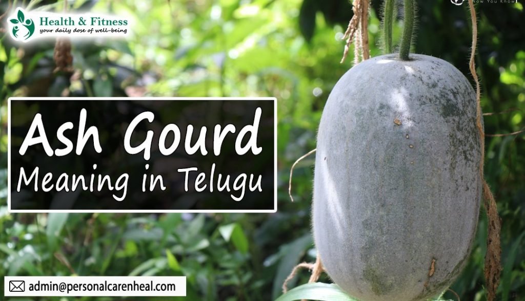 Ash Gourd in Telugu