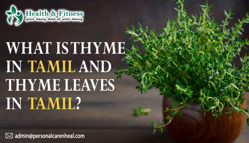 What is Thyme in Tamil and Thyme Leaves in Tamil?