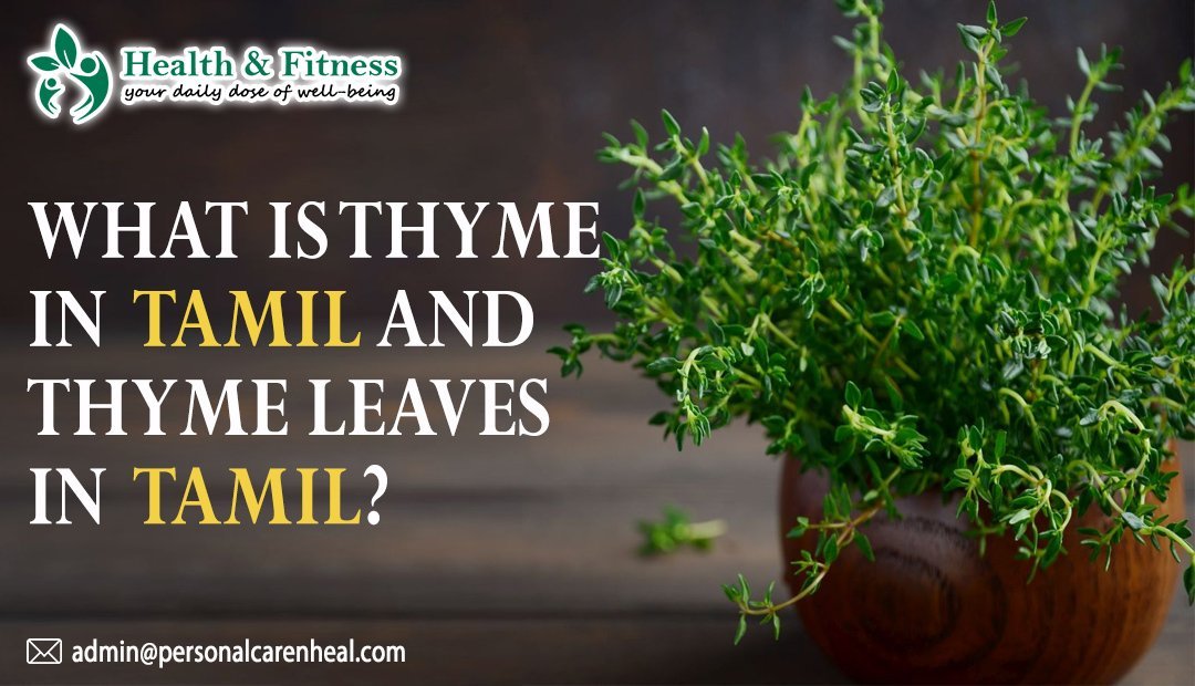 what-is-thyme-in-tamil-and-thyme-leaves-in-tamil