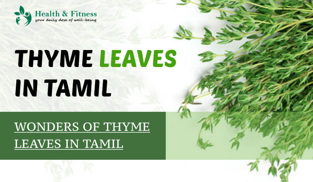 Wonders of Thyme leaves in Tamil