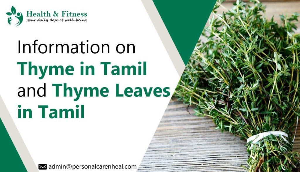 Thyme Leaves in Tamil
