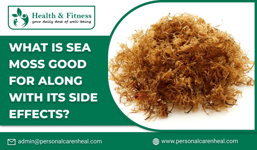 What is Sea Moss Good for along with its Side Effects?