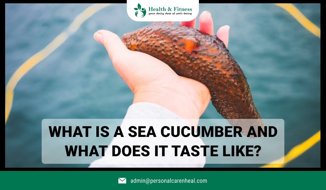 What is a Sea Cucumber and What does it Taste Like?