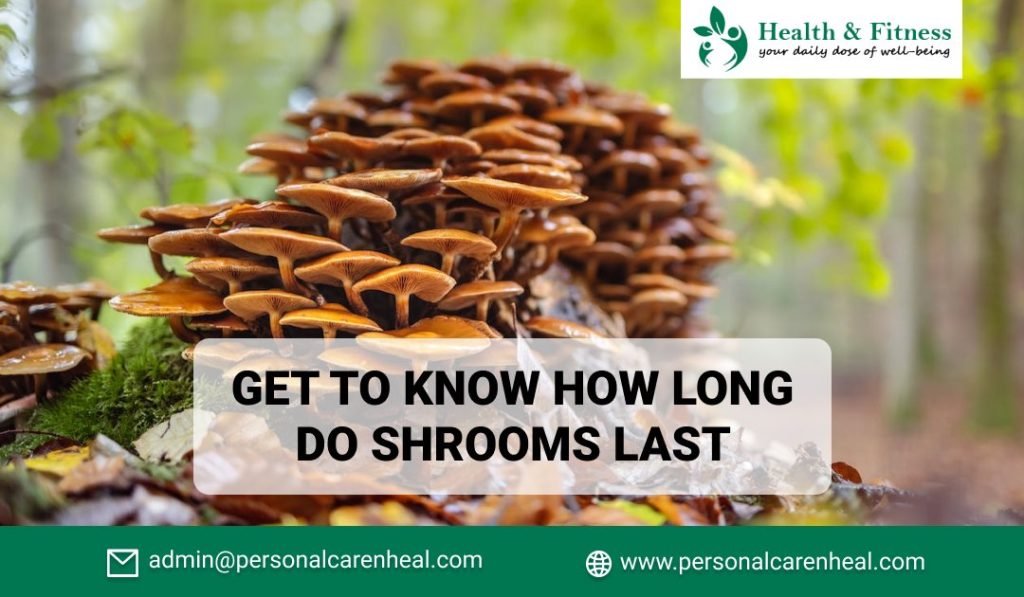 Do You Know How Long do Shrooms Last?