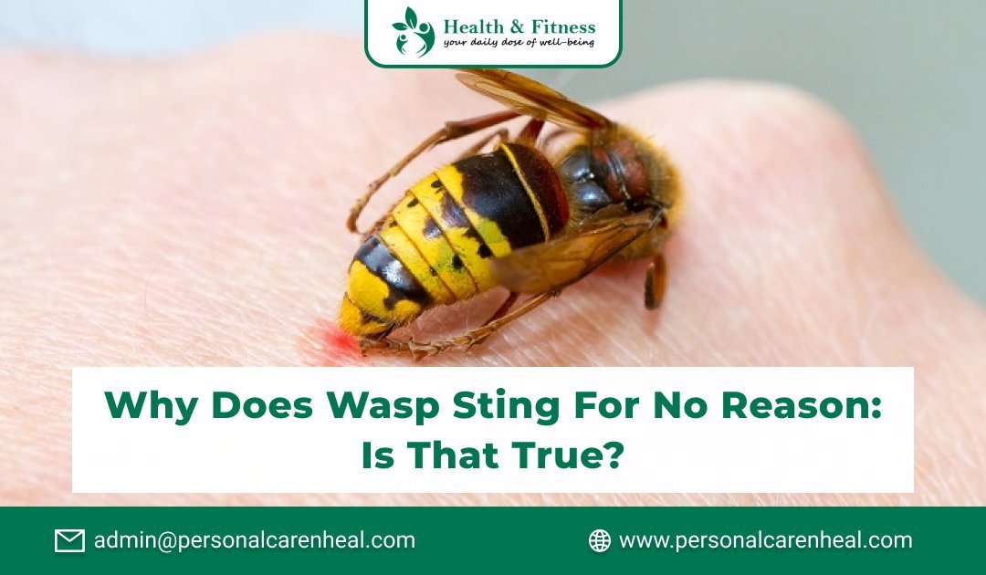 Why Does Wasp Sting for No Reason: Is That True?